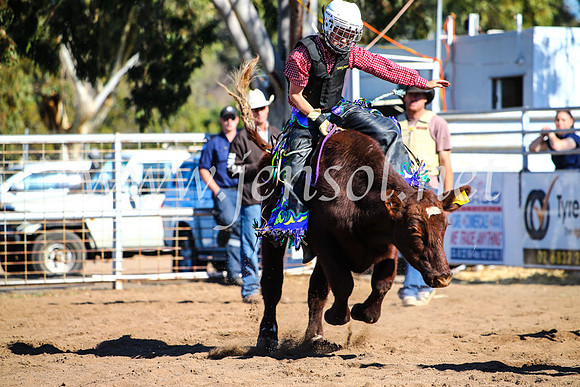 CoonambleRodeoCampdraftMon_7721