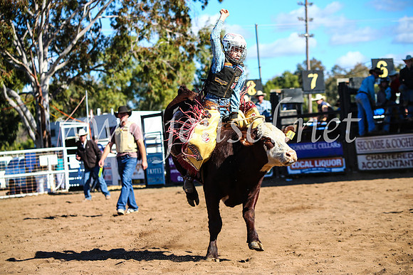 CoonambleRodeoCampdraftMon_7657