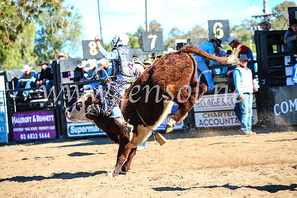 CoonambleRodeoCampdraftMon_7690