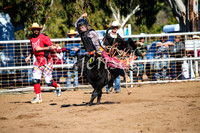 CoonambleRodeoCampdraftMon_6889