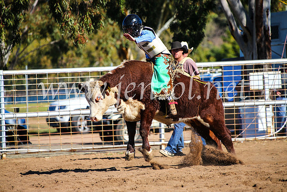 CoonambleRodeoCampdraftMon_7742