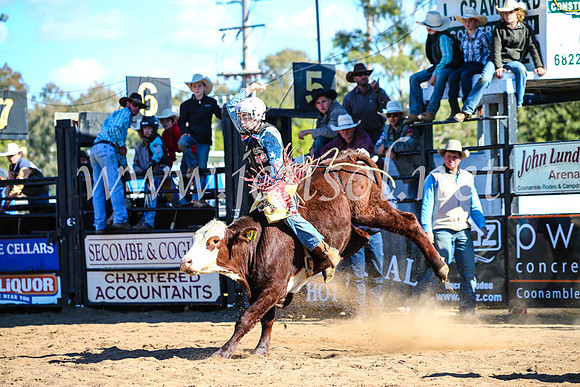 CoonambleRodeoCampdraftMon_7648