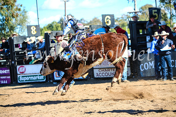 CoonambleRodeoCampdraftMon_7689