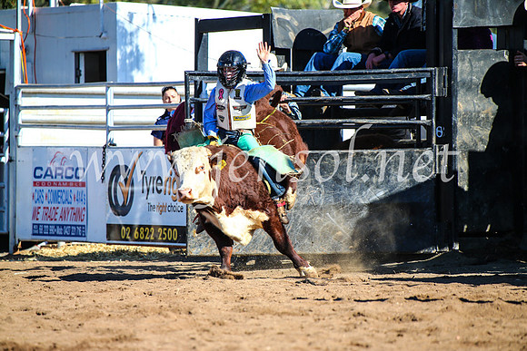 CoonambleRodeoCampdraftMon_7741