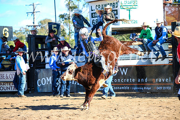 CoonambleRodeoCampdraftMon_7680