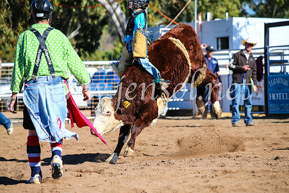 CoonambleRodeoCampdraftMon_7693
