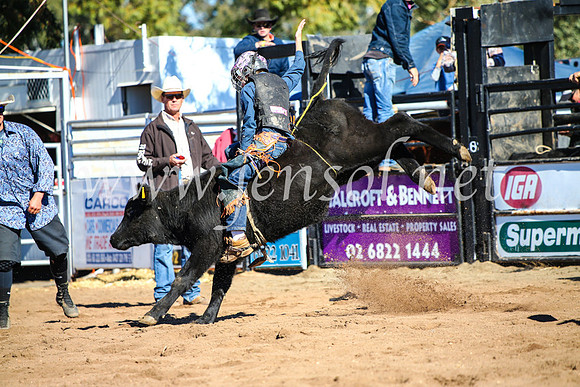 CoonambleRodeoCampdraftMon_6868