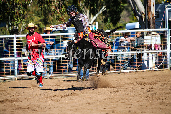 CoonambleRodeoCampdraftMon_6880