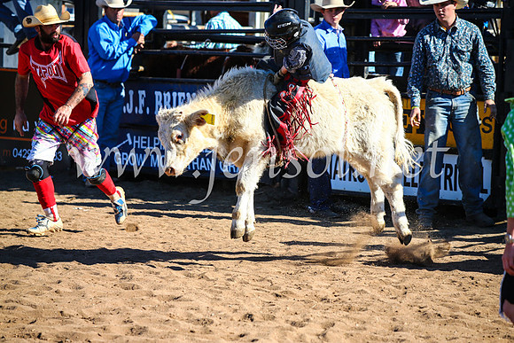 CoonambleRodeoCampdraftMon_7595