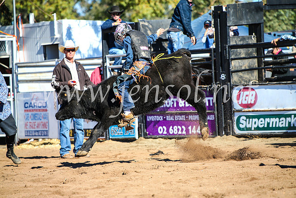 CoonambleRodeoCampdraftMon_6869