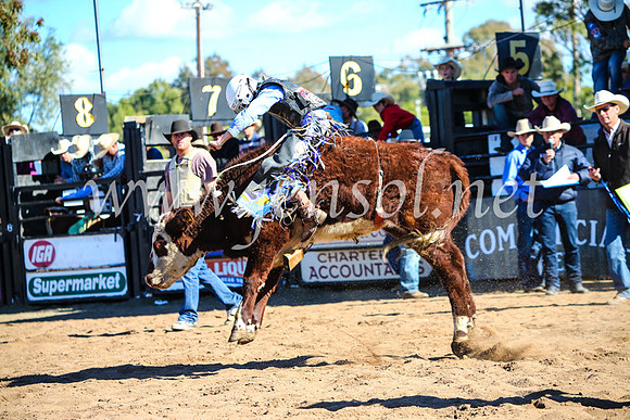 CoonambleRodeoCampdraftMon_7674