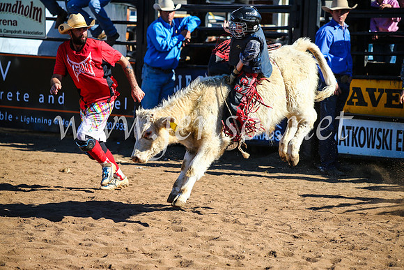 CoonambleRodeoCampdraftMon_7594