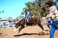CoonambleRodeoCampdraftMon_6825