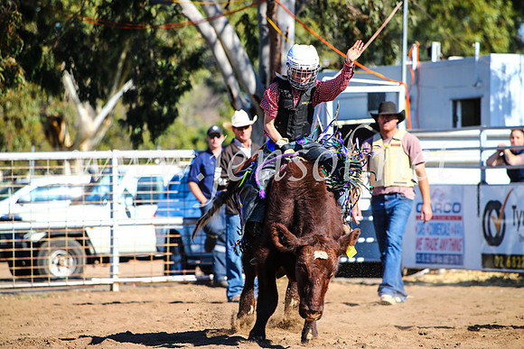 CoonambleRodeoCampdraftMon_7720
