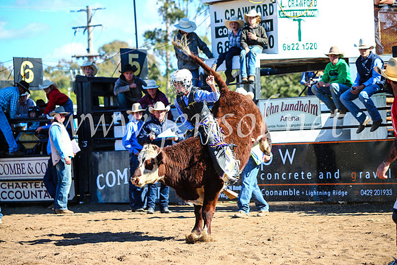 CoonambleRodeoCampdraftMon_7678