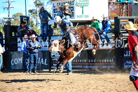 CoonambleRodeoCampdraftMon_7670
