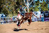 CoonambleRodeoCampdraftMon_6901