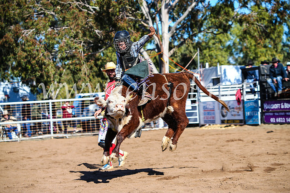 CoonambleRodeoCampdraftMon_6901