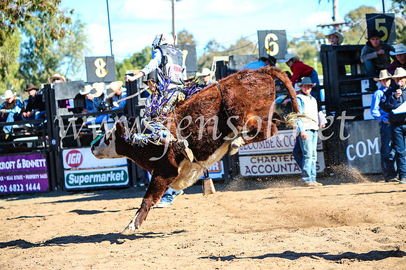 CoonambleRodeoCampdraftMon_7688