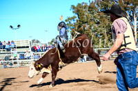 CoonambleRodeoCampdraftMon_6824
