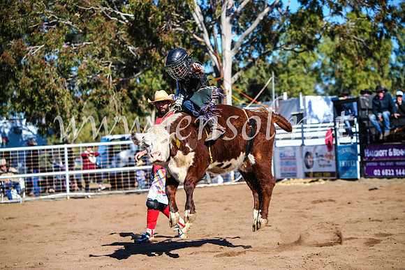 CoonambleRodeoCampdraftMon_6902