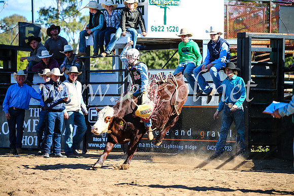 CoonambleRodeoCampdraftMon_7650