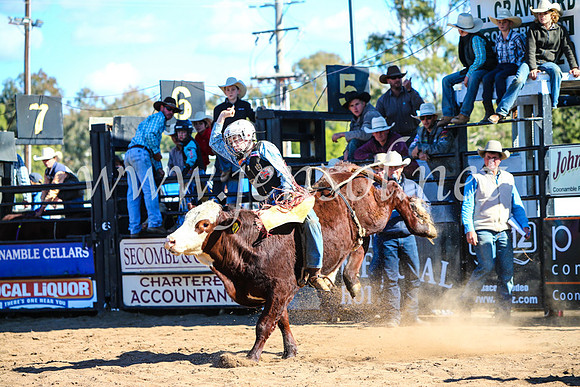 CoonambleRodeoCampdraftMon_7660