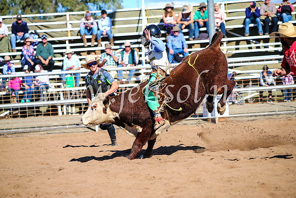 CoonambleRodeoCampdraftMon_7750