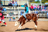 CoonambleRodeoCampdraftMon_6805