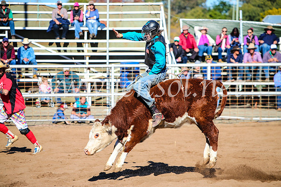 CoonambleRodeoCampdraftMon_6805