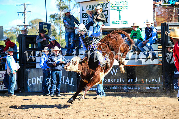 CoonambleRodeoCampdraftMon_7669