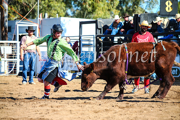 CoonambleRodeoCampdraftMon_7723