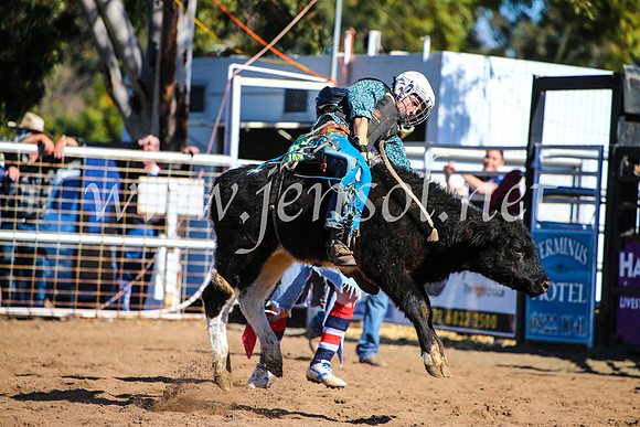 CoonambleRodeoCampdraftMon_7643