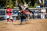 CoonambleRodeoCampdraftMon_6879