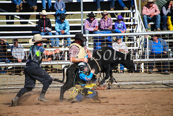 CoonambleRodeoCampdraftMon_7620