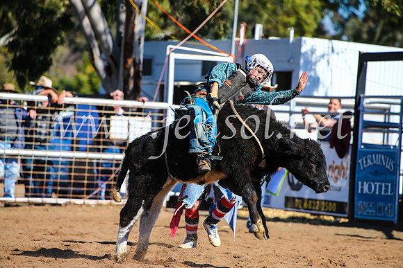CoonambleRodeoCampdraftMon_7638
