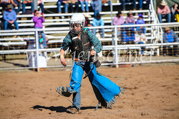 CoonambleRodeoCampdraftMon_7645