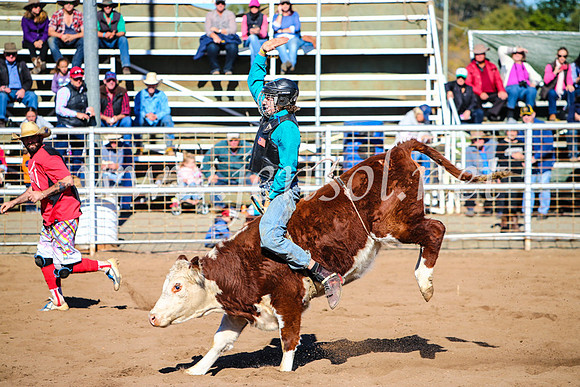 CoonambleRodeoCampdraftMon_6815