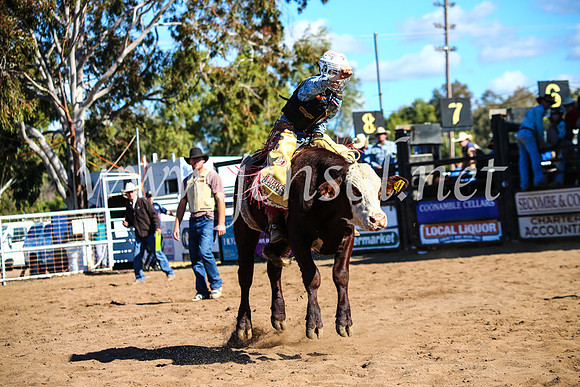 CoonambleRodeoCampdraftMon_7655