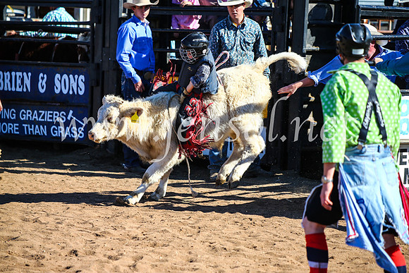 CoonambleRodeoCampdraftMon_7584