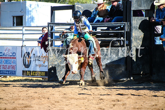 CoonambleRodeoCampdraftMon_7739