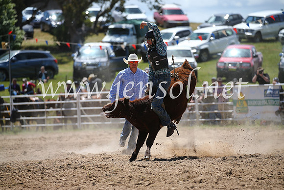 BungendoreRodeo2016-1624