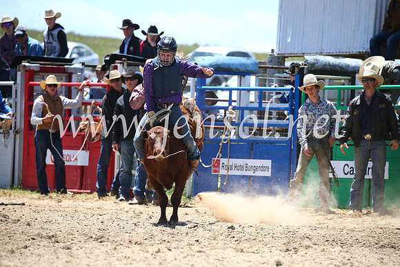 BungendoreRodeo2016-1669