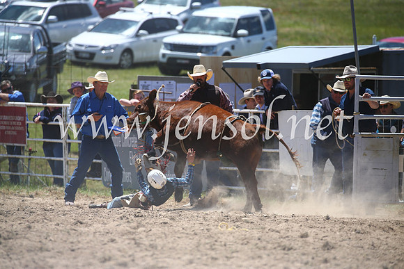 BungendoreRodeo2016-1786