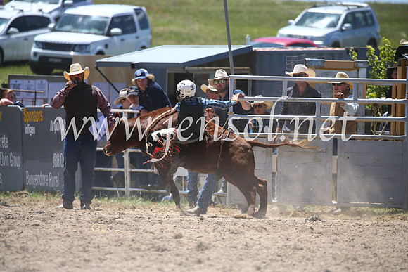 BungendoreRodeo2016-1781
