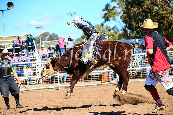 CoonambleRodeoCampdraftMon_7683