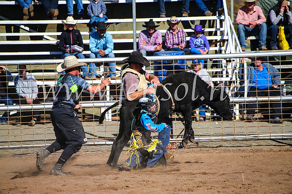 CoonambleRodeoCampdraftMon_7621