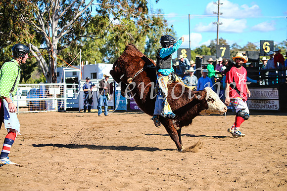 CoonambleRodeoCampdraftMon_7704