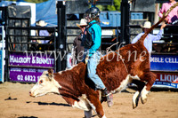 CoonambleRodeoCampdraftMon_6810