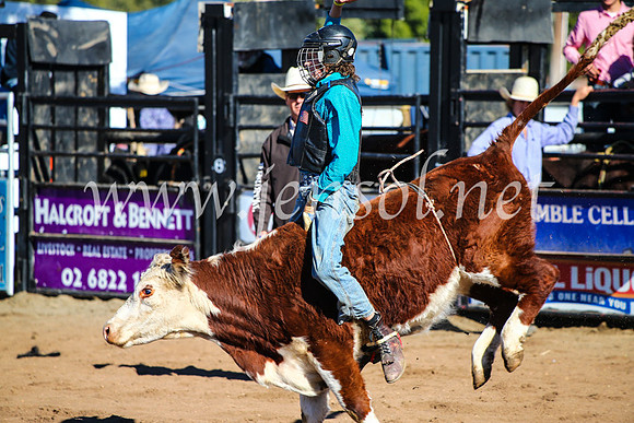 CoonambleRodeoCampdraftMon_6810